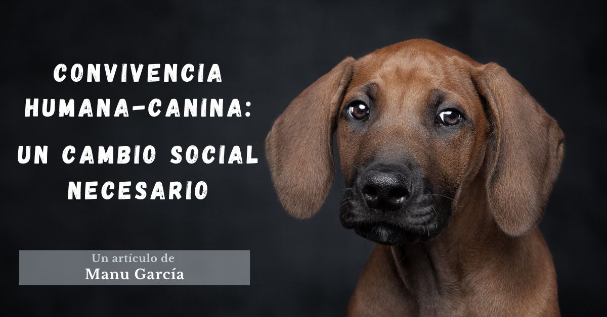 Convivencia humana-canina: un cambio social necesario